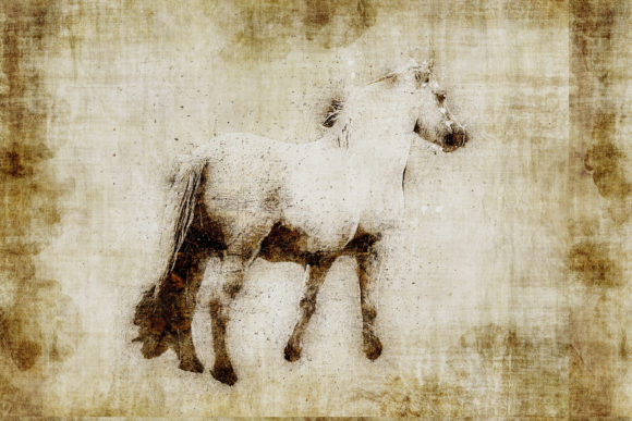 Decorative Animal Printables Pack 01: Instant Wall Art