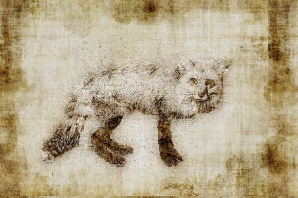 Decorative Animal Printables Pack 02: Instant Art for Your Space