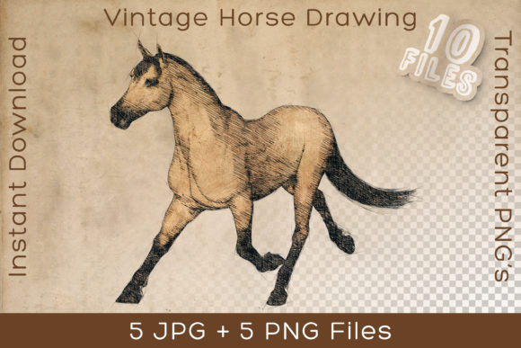 Horse Vintage Animal Art Drawing: Rustic Equestrian Charm