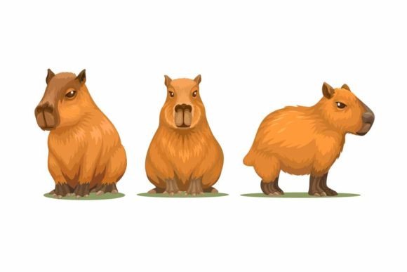 Unlock Playful Branding with Capybara Animal Cartoon Illustration