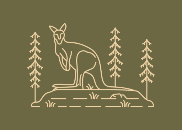 Wild Kangaroo Australian Animal: A Designer's Field Guide